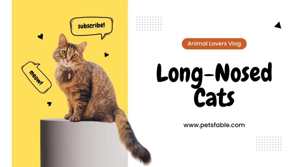 Long-Nosed Cats