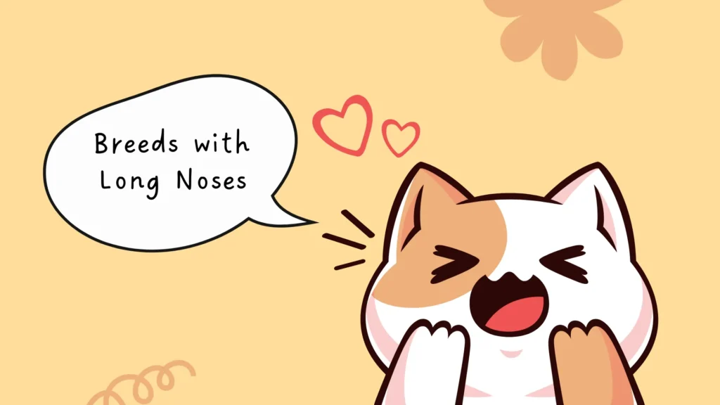 Long-Nosed Cats